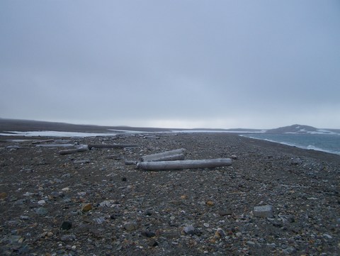 Sorgfjorden kust