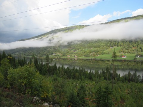 Uitzicht vanop de trein (Oslo-Myrdal) ter hoogte van l