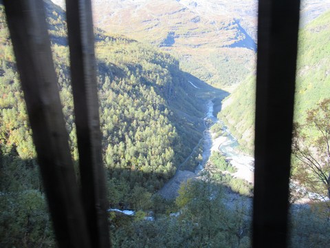 Uitzicht vanop de trein (Myrdal-Flm)