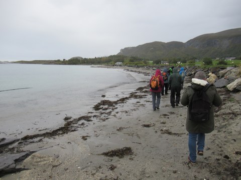 Arctic Coastal Walk