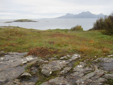 Arctic Coastal Walk